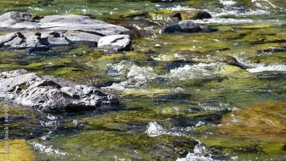 Video of Altai river Kumir in Autumn season. River rapids near Girl's Plyosy. Siberia, Russia. Video of Altai river Kumir in Autumn season. River rapids near Girl's Plyosy. Siberia, Russia.