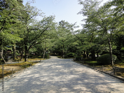 日本の庭の風景