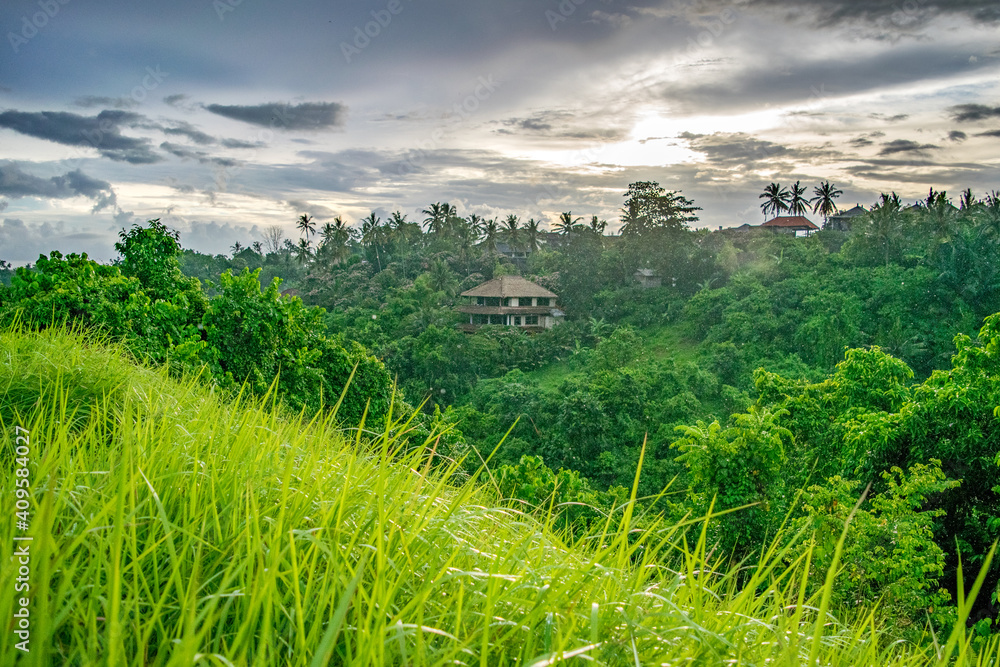 House in Jungle on the Island of Bali - Ubud, Indonesia 