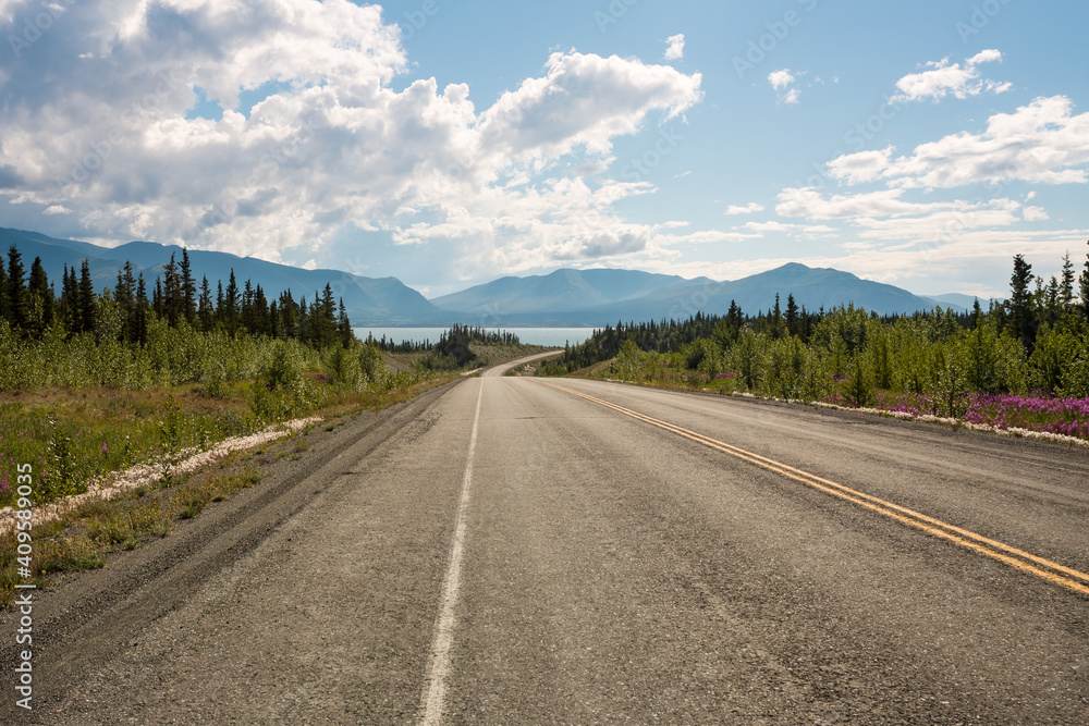 Fototapeta premium Highway in Yukon, Canada, in summer. Beautiful wild flowers grow along the road. Lake Kluane is visible ahead 