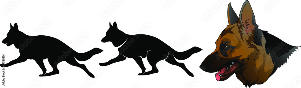 Silhouette of a dog running around the German Shepherd breed 
The beautiful head of the German Shepherd
A set of elements for the logo