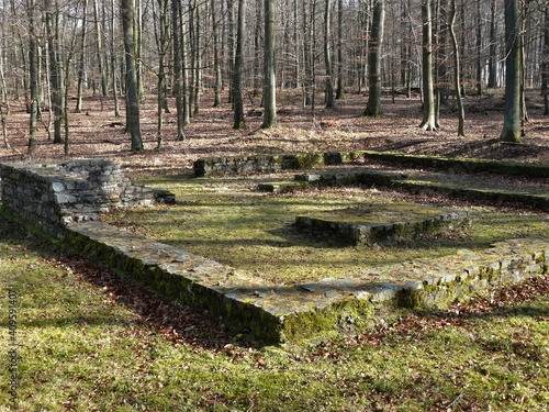 Photo Fundamente römischer Tempel für Rosmerta und Merkur im Wald von Waldesch / Hunsr