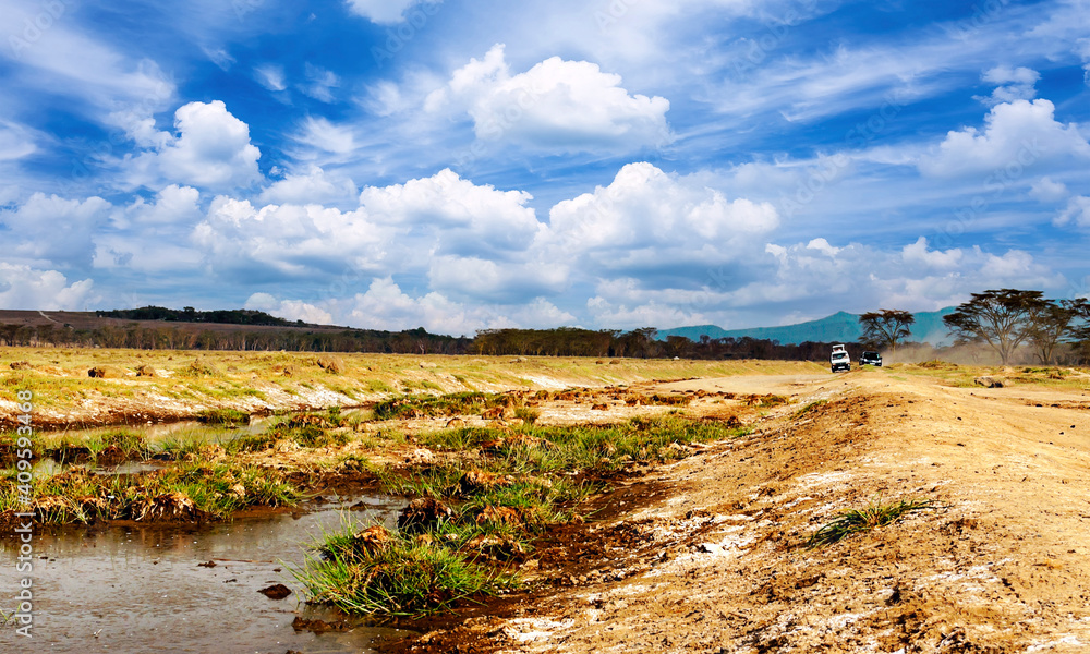 African landscape