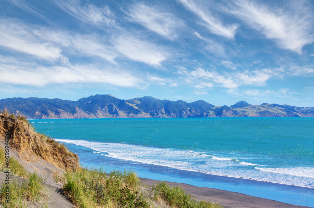 New Zealand coast