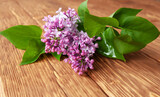 A branch of lilac flowers with green leaves on the wooden table