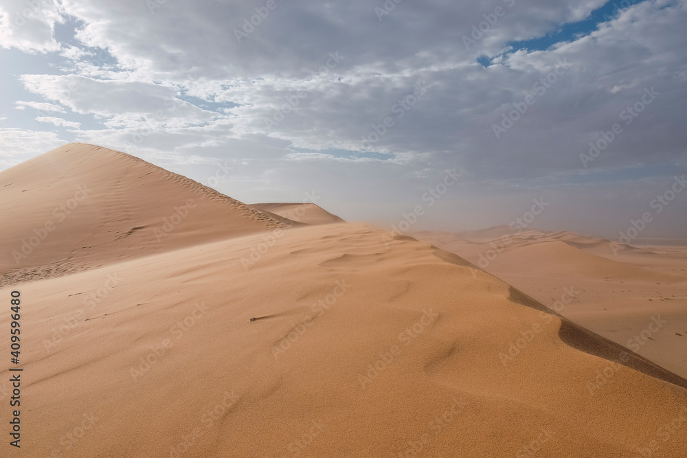 landscape of the desert dunes