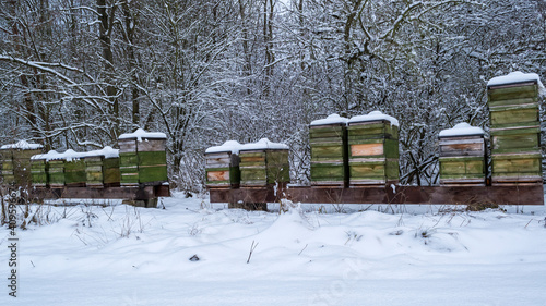 Bienenstöcke im Winter mit Schnee bedeckt