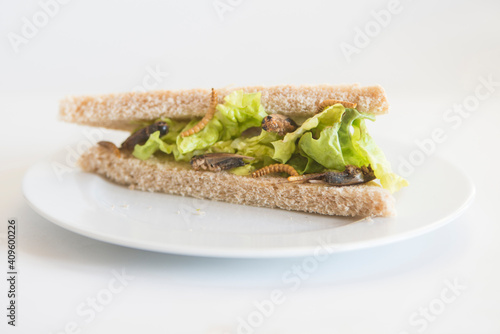 Cricket and lettuce sandwich photo