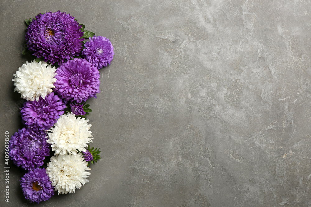 Fototapeta premium Beautiful asters and space for text on grey background, flat lay. Autumn flowers