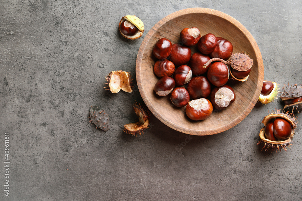 Obraz premium Horse chestnuts in wooden plate on grey table, flat lay. Space for text