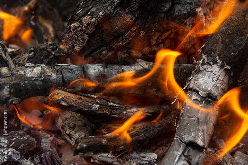 Fuego de leña para barbacoa © alfonsosm