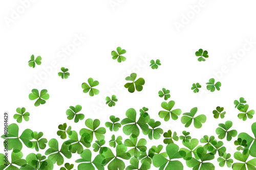 Fresh green clover leaves on white background. St. Patrick's Day