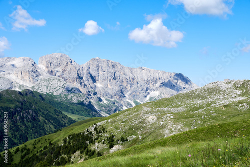 summer landscape in Val di Fassa