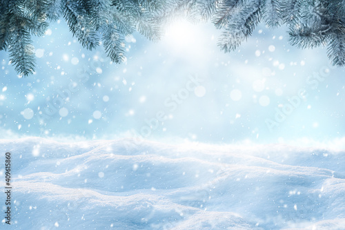 Winter card design. Beautiful fluffy snow and fir tree outdoors © New Africa