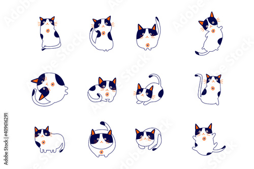 Funny cats. Set of funny cats