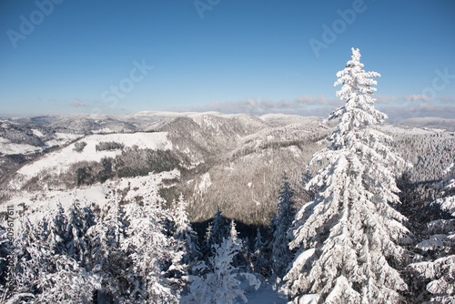 View over the snow-covered Black Forest in southern Germany in winter from the Hochkopf observation tower near Todtmoos. photo