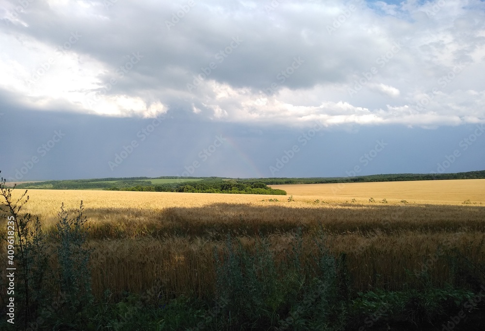 Fototapeta premium landscape with clouds