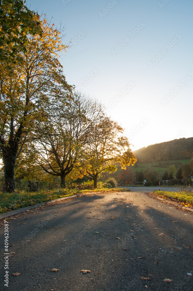 Fototapeta premium Autumn landscape with road