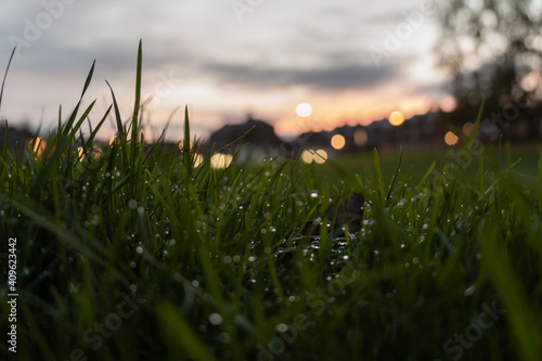 sunset over grass photo