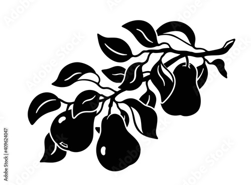 Sprig with three pears, leaves. Hand drawn silhouette clipart of branch of garden tree. Black graphic illustration. Botanic print, tattoo, poster. Flat isolated vector, white background