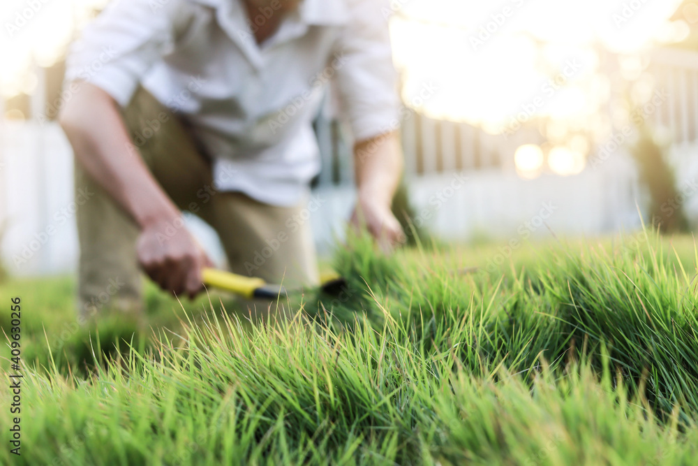 A man mowing the grass in his front yard, he uses yellow grass shears, his weekend activities. A man mowing the grass in his front yard, he uses yellow grass shears, his weekend activities.