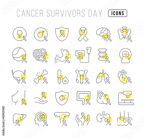 Vector Line Icons of Cancer Survivors Day