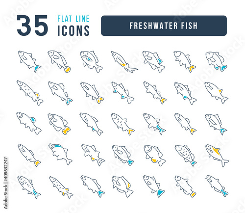 Fototapeta Naklejka Na Ścianę i Meble -  Set of linear icons of Freshwater Fish