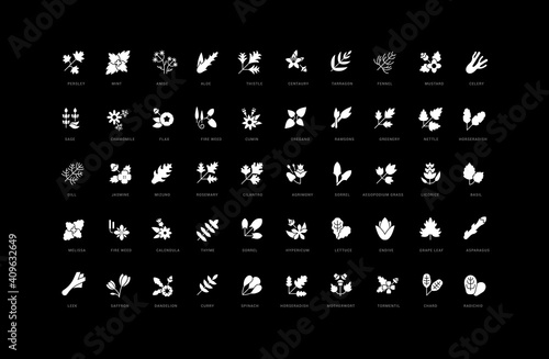 Set of simple icons of Herbs and Seasonings