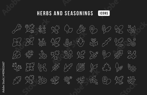 Set of linear icons of Herbs and Seasonings