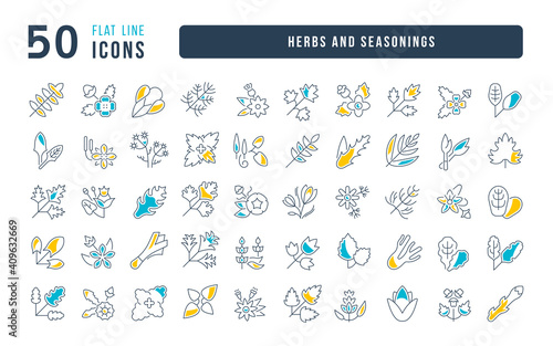 Set of linear icons of Herbs and Seasonings