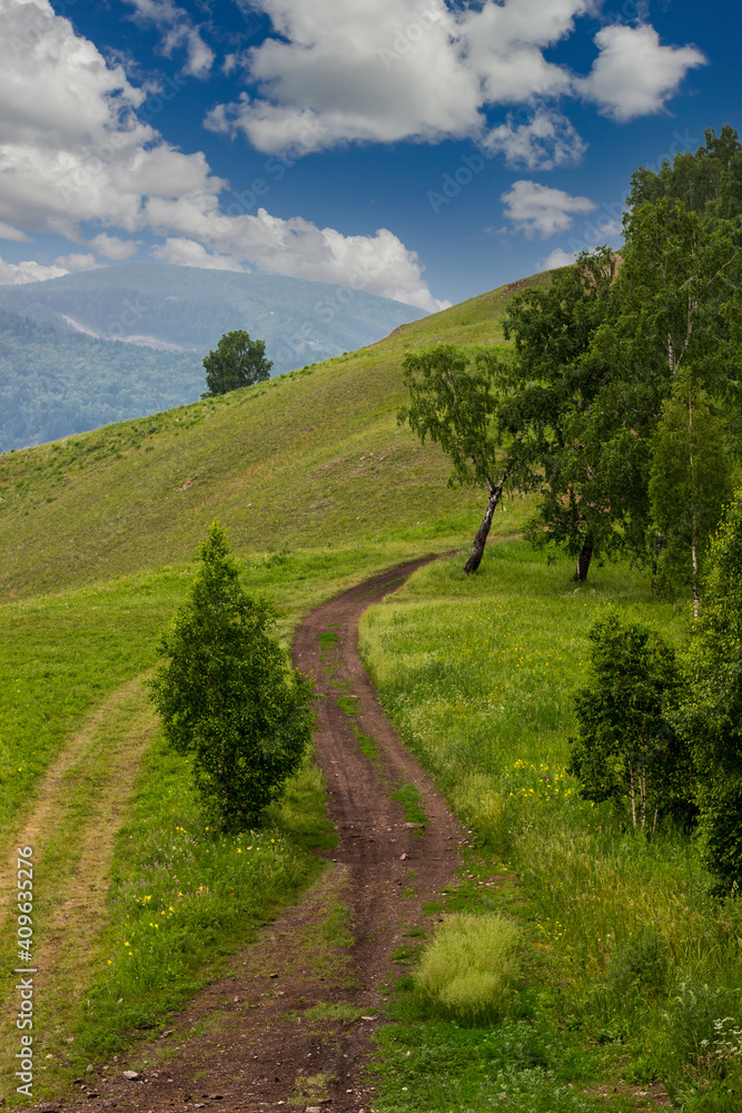 Empty dirt road at the edge of the forest along a mountain hill. Summer landscape.