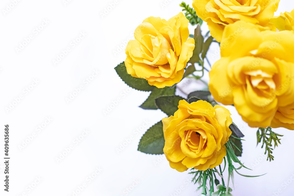 Beautiful fresh spring flowers on white background Beautiful fresh spring flowers on white background