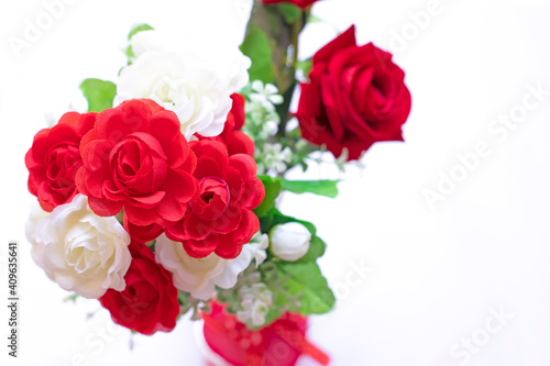 Beautiful red and white roses isolated on white