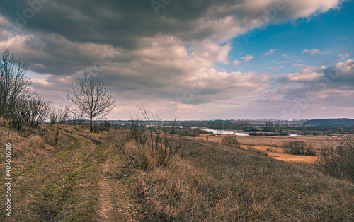 Spring landscape