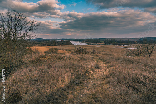 Spring landscape