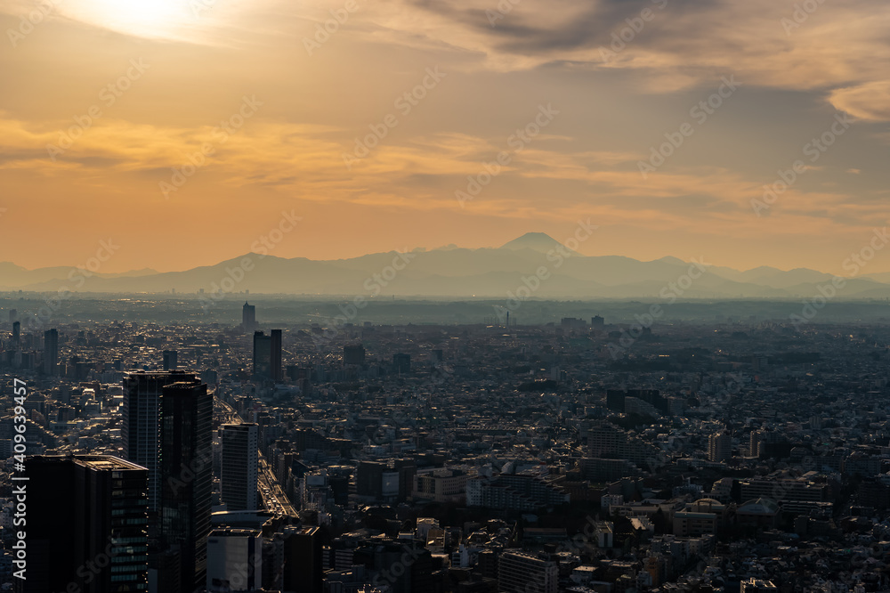 東京都渋谷区から見た東京の都市景観