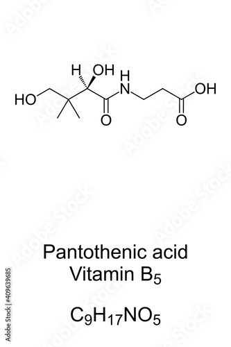 Pantothenic acid, vitamin B5, chemical formula and skeletal structure. An essential nutrient to synthesize coenzyme A, and to synthesize and metabolize proteins, carbohydrates, and fats. Vector.