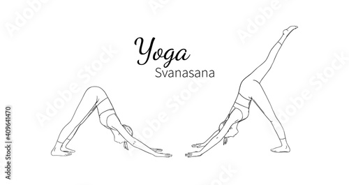Yoga Downward Facing Dog Poses or Svanasana. Female yoga harmony. Sketch vector illustration isolated on white background