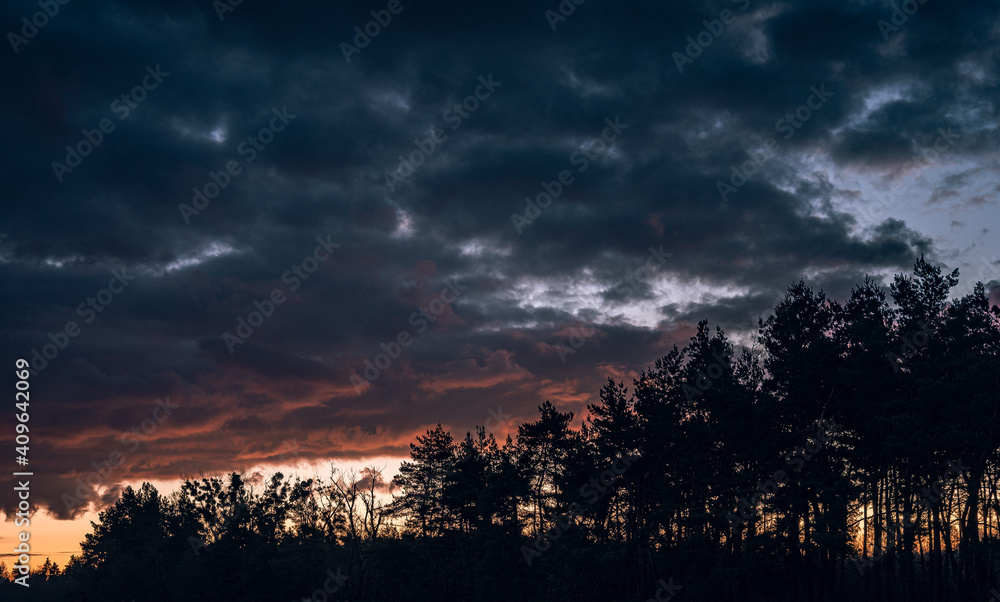 Fototapeta premium Winter moring among fields