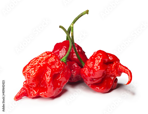 Carolina Reaper, the hottest chile pepper Capsicum chinense, whole ripe pod, isolated on white background. Superhot or extremely hot chile pepper