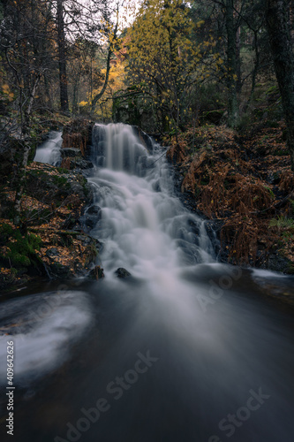 Oto  o en la Sierra de Guadarrama