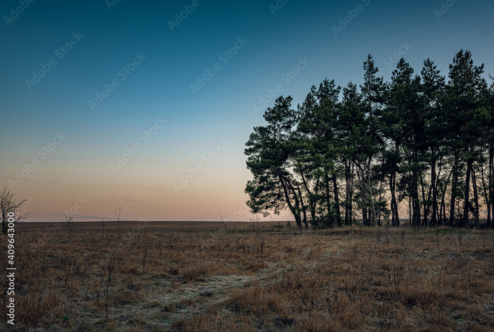 Obraz premium Winter moring among fields