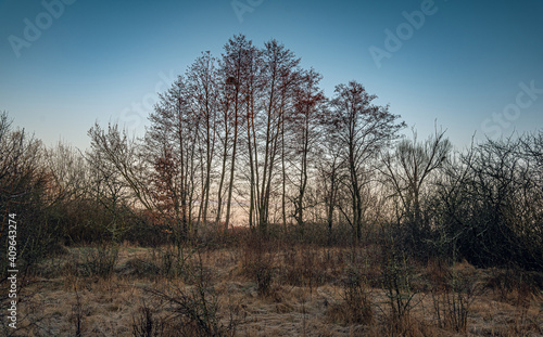 Winter moring among fields