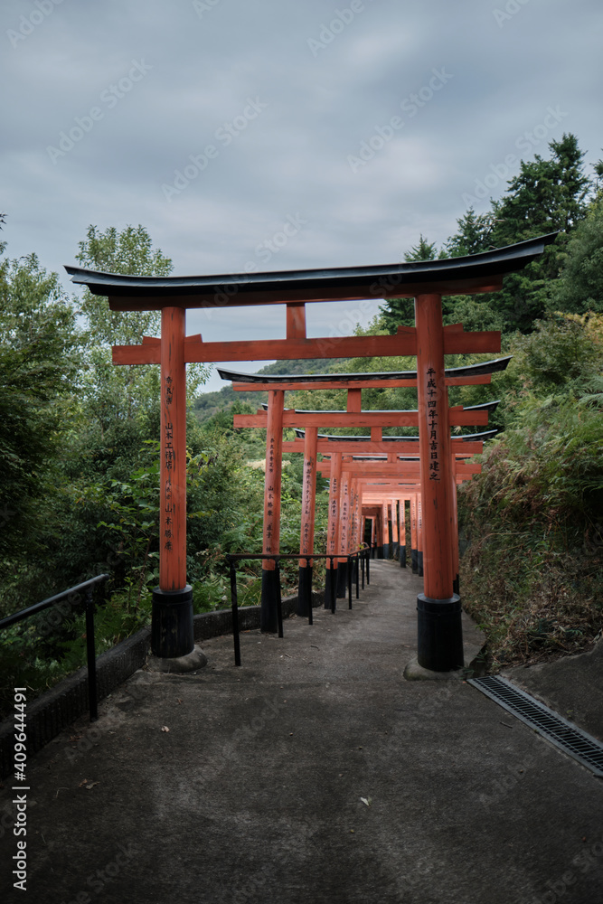 Torii
