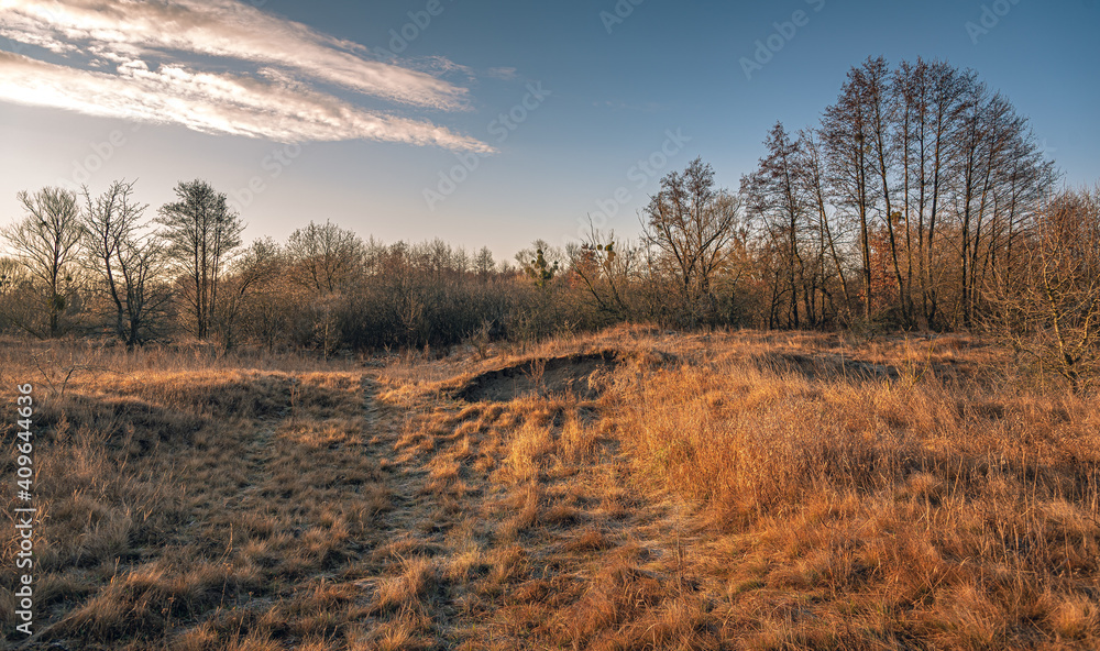 Spring landscape Spring landscape