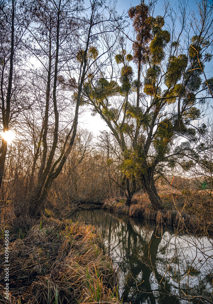 Obraz premium Sunrise on river