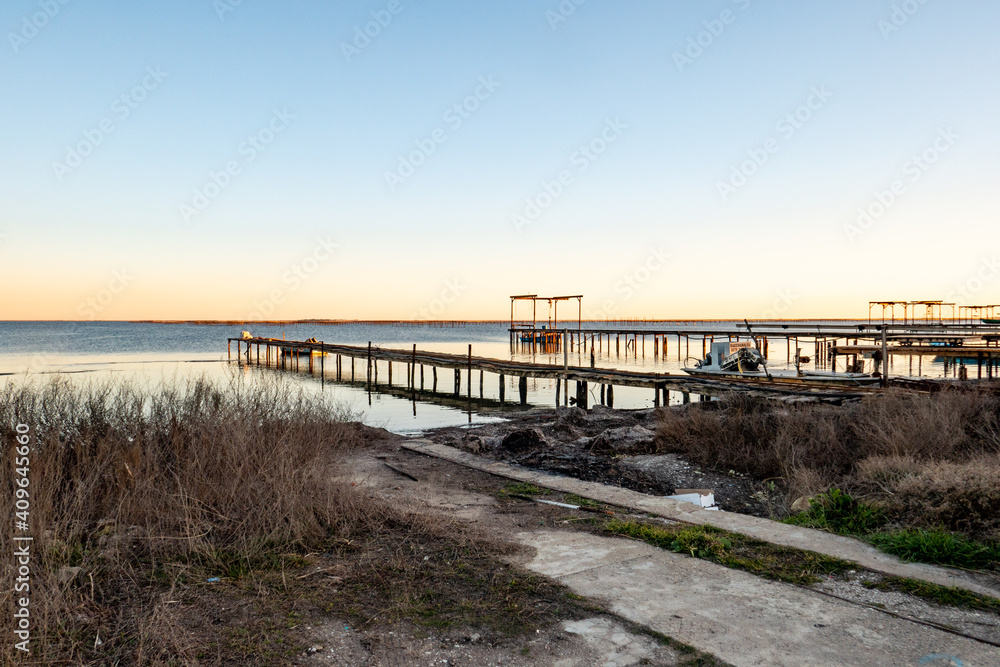 Naklejka premium oyster and mussels farming