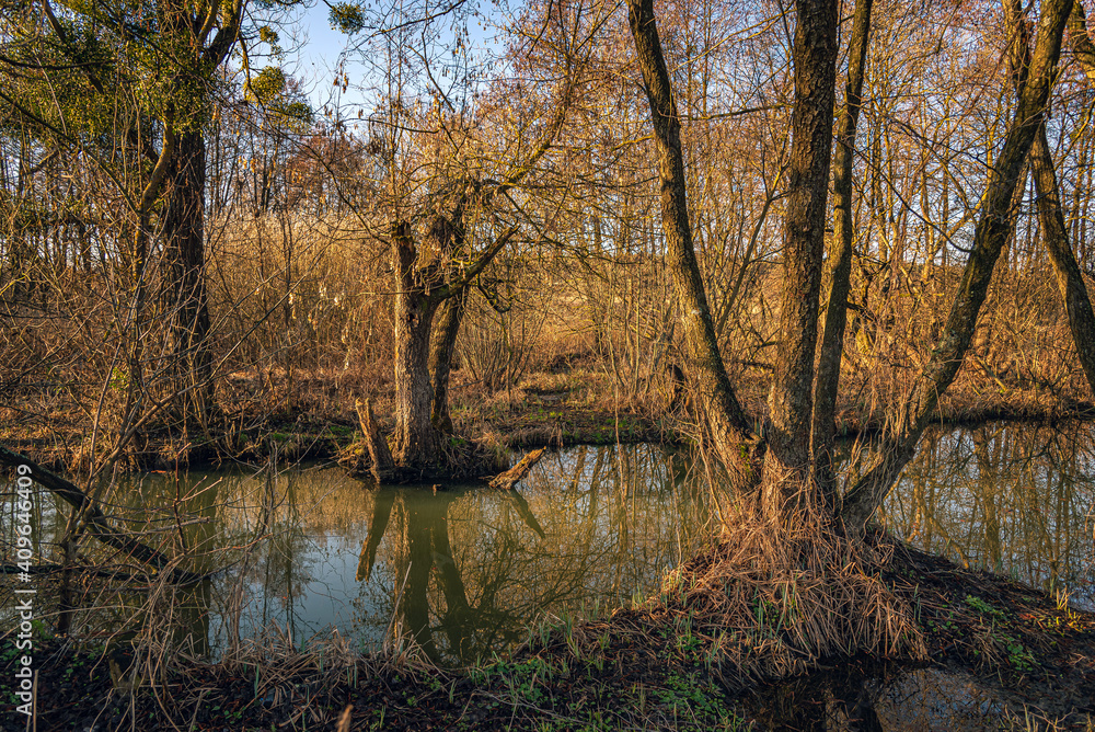 Obraz premium Sunrise on river