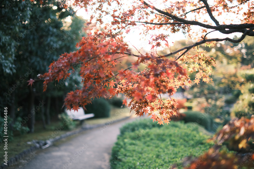 Japanese Garden in Daisen Park in Osaka, Japan Japanese Garden in Daisen Park in Osaka, Japan
