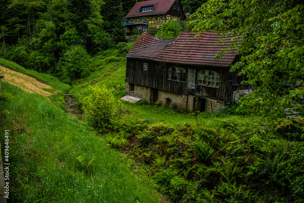 Fototapeta premium Old wooden destroyed house (barn) in green forest on riverbank, Kurort Rathen, Germany